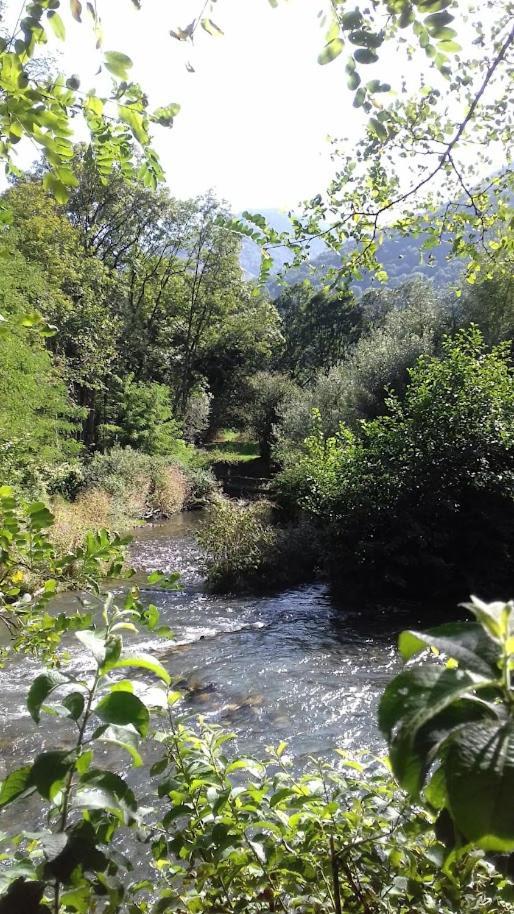 Le 102, T3 Pour 5 Personnes, Vue Montagne, Classe 2 Etoiles Nf, Parking, Piscine En Ete Bagnères-de-Luchon Kültér fotó