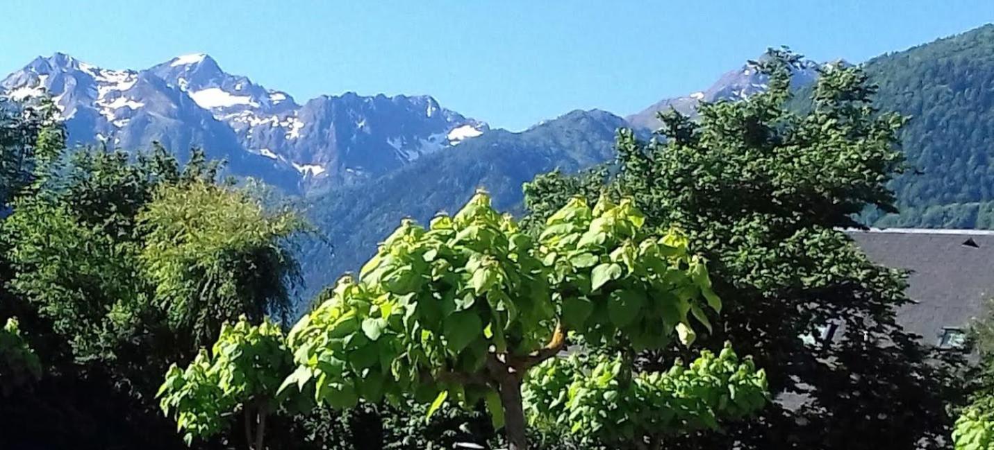 Le 102, T3 Pour 5 Personnes, Vue Montagne, Classe 2 Etoiles Nf, Parking, Piscine En Ete Bagnères-de-Luchon Kültér fotó